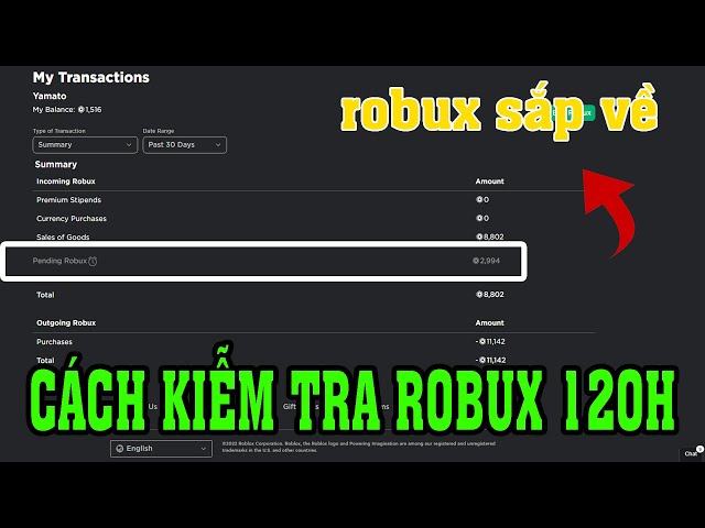 Hướng dẫn cách xem robux đã mua khi nào về